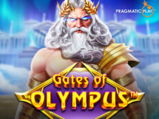 Oyun alanlara hayvan sokmayınız. Best ipad casino.66